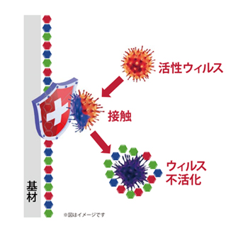 ウイルス不活性化のメカニズム イメージ画像